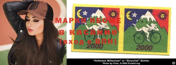 молекула духа Арсеньев