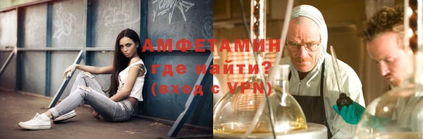 молекула духа Арсеньев