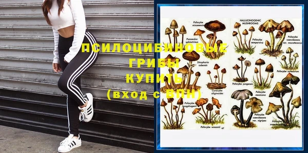 молекула духа Арсеньев