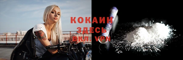молекула духа Арсеньев