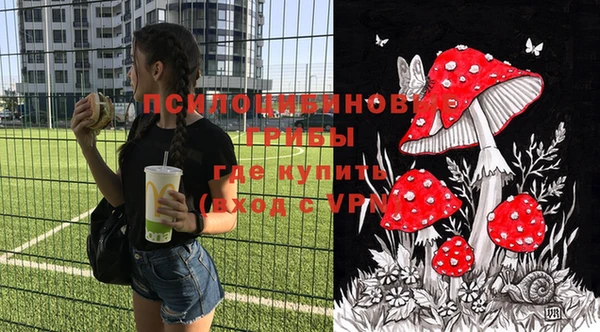 молекула духа Арсеньев