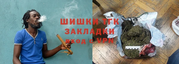 молекула духа Арсеньев
